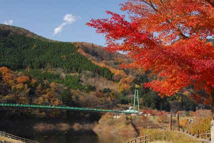【宮城県内発】 圧巻のもみじ谷大吊橋と初登場の大山参道“くれないのトンネル” !ツアー初登場グルメ!牧場牛100%“ちぎり”ハンバーグ(日帰り)