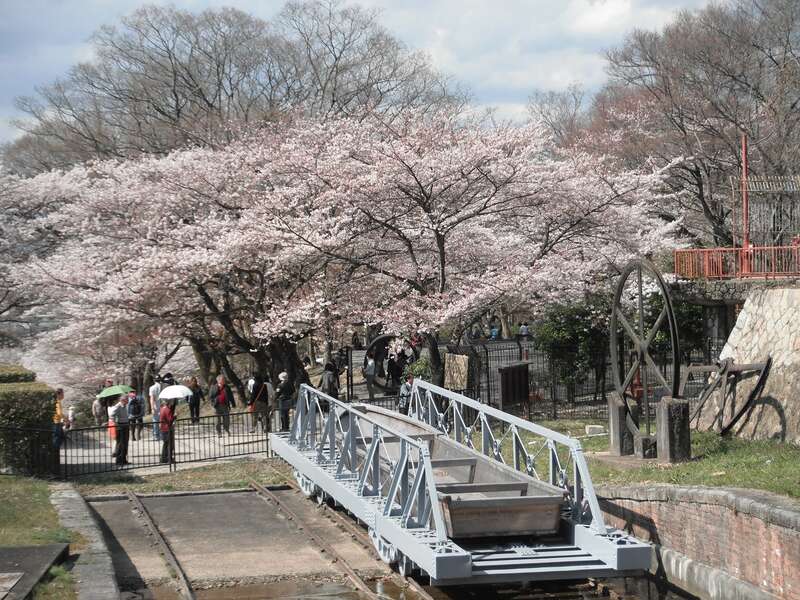 【東京駅・品川駅・新横浜駅発】 〈国宝ウォーク〉ウォークガイドと歩く！春の琵琶湖疏水国宝ウォーク２日間3