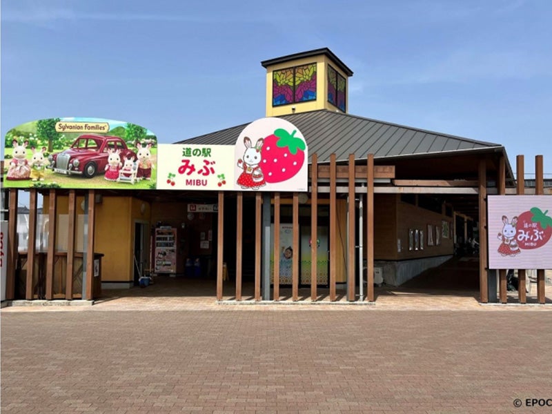 【新宿発】8,000円台～ぶっとび格安✨ひたちなか『ネモフィラの丘』青の絨毯を堪能💙＆『あしかがフラワーパーク』大藤棚のライトアップ鑑賞(入場料込）3