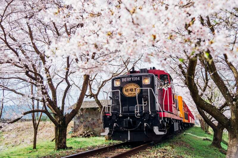 【静岡・新富士・三島発】 桜のトンネル嵯峨野トロッコ列車・東寺夜桜ライトアップ 春爛漫　桜の京都10景めぐり　３日間2
