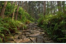 【名古屋駅西口・エスカ地下街発】＊日帰り軽食弁当付＊Ｌｅｔ’ｓハイキング！『熊野古道　馬越峠を歩こう』1