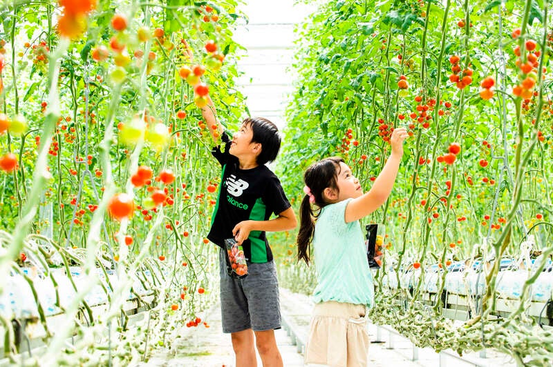 【福島県内発】 親子三世代で楽しみたい！JR磐越東線沿線クリスマス旅（日帰り）3