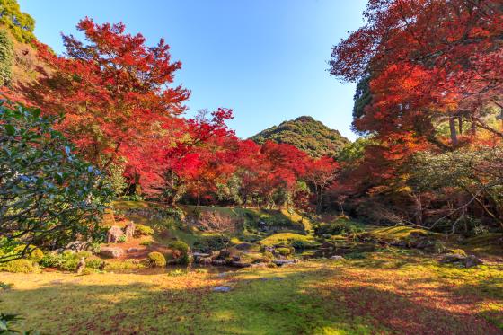 【バスハイク／福岡天神発着／添乗員同行】秋を染める三つの紅葉名所めぐり 清水寺・十可苑・雷山千如寺 ～海鮮丼とほっこり豆乳鍋ランチ～2