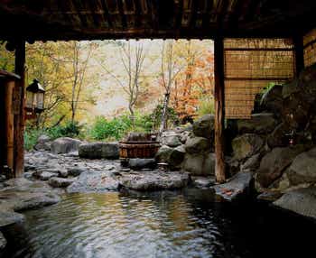 【秋田市内~井川さくら発】 青森 桜名所巡り「弘前公園」「駒街道さくら並木」と秘湯ランプの宿青荷温泉 2日間