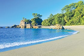 姫路・龍野　発
本場高知の鰹藁焼き体験と鰹尽くし料理3