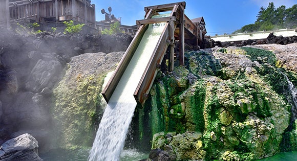 ＜新宿発・西船橋発＞ 天下の名湯！草津温泉たっぷり滞在21時間と♪春の香りに包まれる 12万本の梅の里1