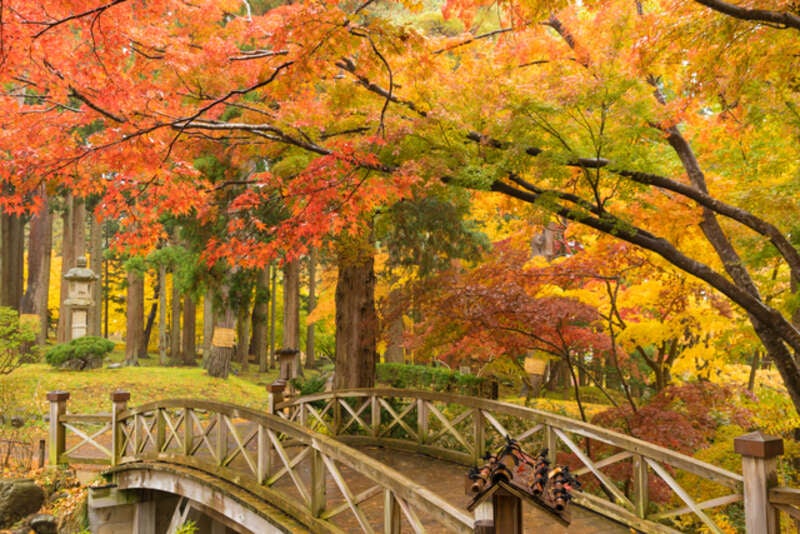 【秋田市内発】 函館山の夜景と紅葉の香雪園MOMI-Gフェスタ　２日間1