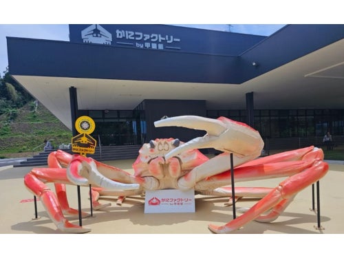 【名古屋発】福井県越前で茹でカニ丸ごと1杯付き握り寿司10貫御膳＆新オープン！敦賀かにファクトリー＆一乗谷朝倉氏遺跡復原町並2
