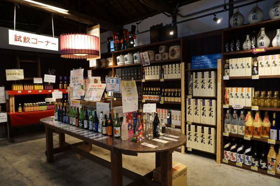 【バスハイク／天神発着／添乗員同行】 パワーチャージ！有明海を望む鹿島で牡蠣食べ放題！ 肥前浜宿の酒蔵で生酒のテイスティング♪ エネルギーを感じる武雄の大楠3