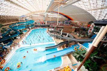 【宮城県内発】 心踊る体験！スパリゾートハワイアンズの夏休み（日帰り）