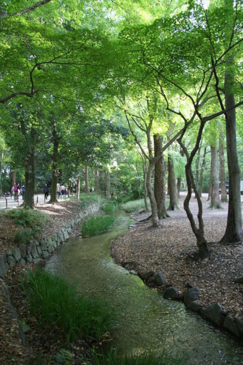 【兵庫県内発】  ひんやり気分♪夏の爽やか涼景ミステリーツアー　日帰り3