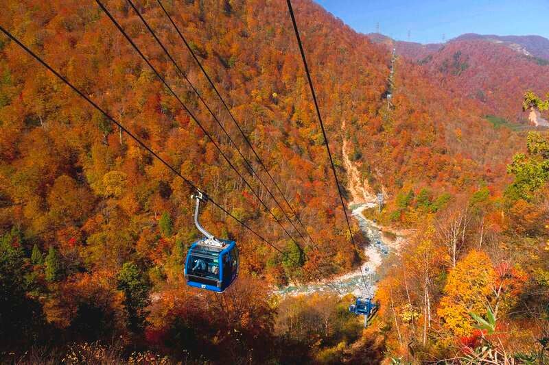 【熊本空港発】 4つの遊覧を愉しむ！上越５つの紅葉めぐり３日間3
