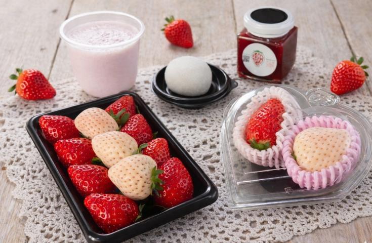 [Tokyo Strawberry Bus] ベイコース 【18:50発】プレミアムいちごBOX付き♪オープントップで壮快！東京観光＜GPS付自動音声ガイドシステム搭載＞2