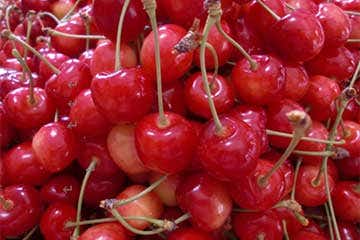 【旬の高級果実さくらんぼ食べ放題🍒/新宿・池袋・町田・三鷹・立川発】フルーツ王国山梨でさくらんぼ🍒食べ放題と国産網目メロン🍈＆パイナップルなどどっさり３キロのお土産付き１１,９９０円