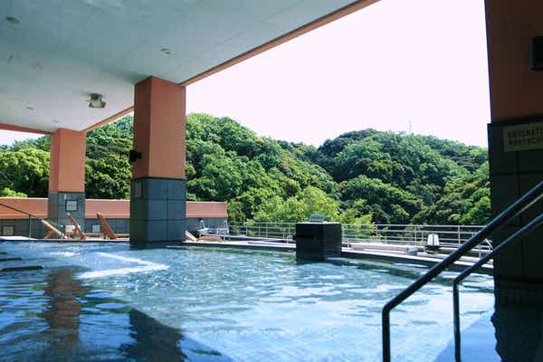 【埼玉県内発】 1泊4食付！富士山眺望 東海道グルメ旅 ～秘境・大井川鐵道鉄橋大パノラマと日本平夢テラス・三保の松原～２日間3