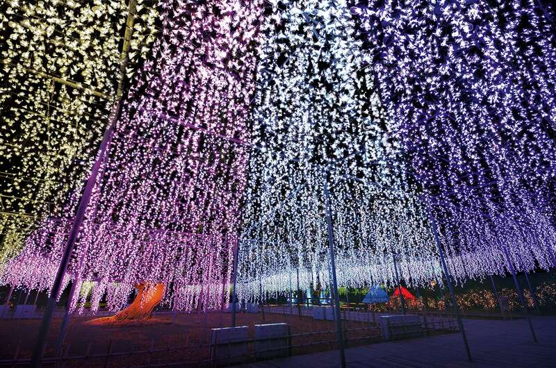 【岩手県内発】 あしかがフラワーパーク光の花の庭と世界遺産日光山輪王寺　特別開帳「毘沙門天」　2日間2