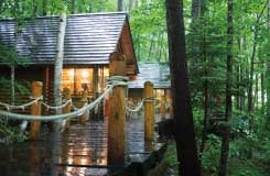 ≪全日程催行決定≫🚌富良野の色彩豊かなお花畑鑑賞と美瑛の幻想的な青い池や大自然に囲まれたお洒落なニングルテラスを散策！ご昼食はご当地グルメ・オムカレーに舌鼓3