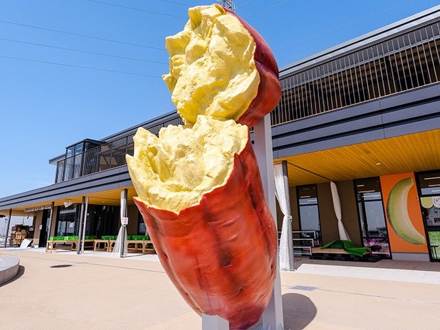 ■【茨城】＜第3弾＞行列ができる人気のスポットが大集合！流しそうめん食べ放題＆完熟！「まるごとメロンパフェ」＆道の駅常総でお買い物＆世界一の牛久大仏へ♪3