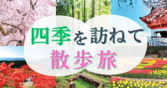 【広島駅新幹線口・不動院バス停・中筋（にしき堂前側道）・福山SA発着／日帰り】四季を訪ねて散歩旅～金刀比羅宮＆善通寺1