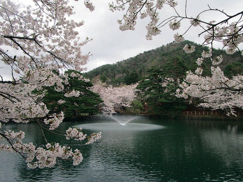 【秋田エリア発】 大曲の花火－春の章－ 「新作花火コレクション2026　世界の花火　日本の花火」と日本さくらの名所100選真人公園 日帰り2