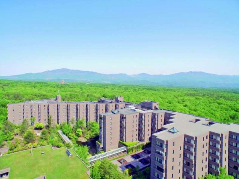 【ＪＲ和歌山駅発】 3つの絶景遊覧でめぐる！美食・美景・美湯癒しの秘湯・名湯ミステリーツアー3日間2