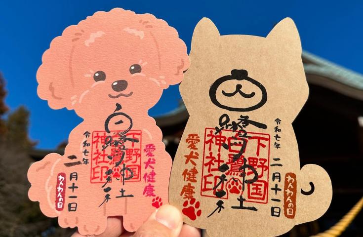 【愛犬同伴プラン】(1/11)わんわんの日♪いちご狩り食べ放題＆江戸前寿司を堪能！白鷺神社参拝や川越散策で食べ歩き等、新年気分を満喫の日帰りvipわんツアー！3