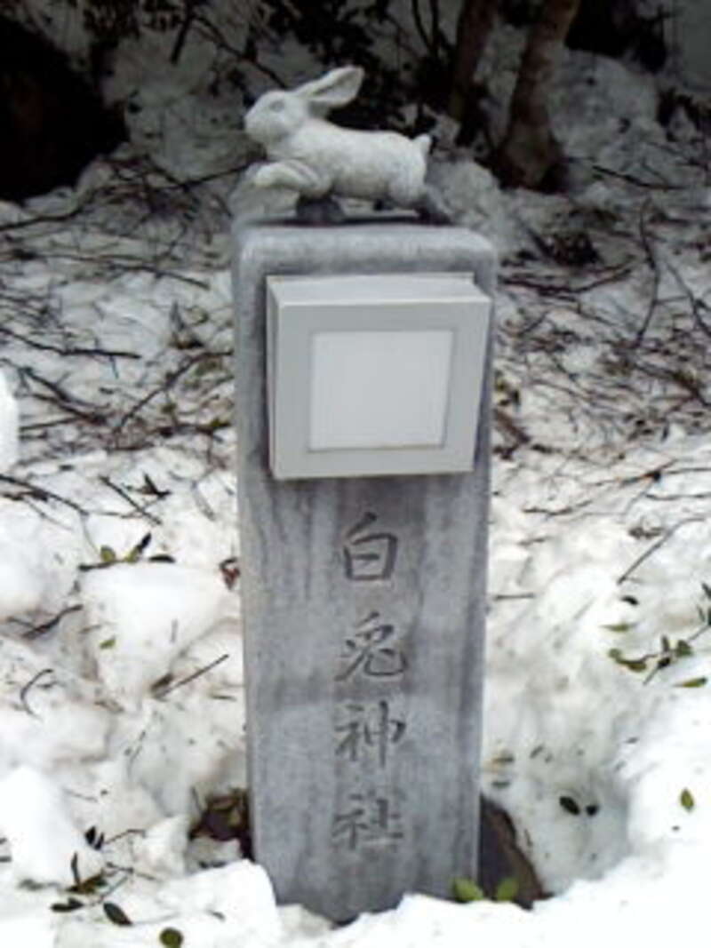 【出雲・斐川・松江・米子発】一粒万倍日＆大明日に行く！ 縁結び＆金運の鳥取三社めぐり　日帰り1