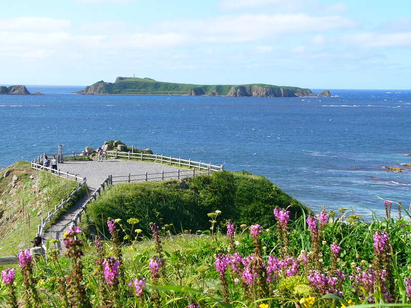 【山口宇部空港発】 特急宗谷で行く！「夢の浮島 利尻島」・「花の浮島 礼文島」（4日間）3