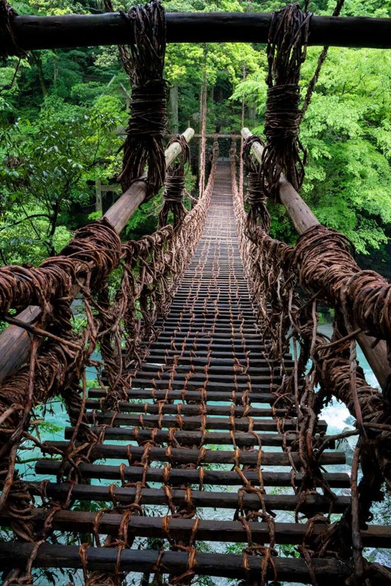 【東京駅・品川駅・新横浜駅発】 往復のぞみ号利用！（東京＝岡山間）四国周遊ハイライト4日間　　 四国を代表する名湯「道後温泉」＆「こんぴら温泉郷」に宿泊！3