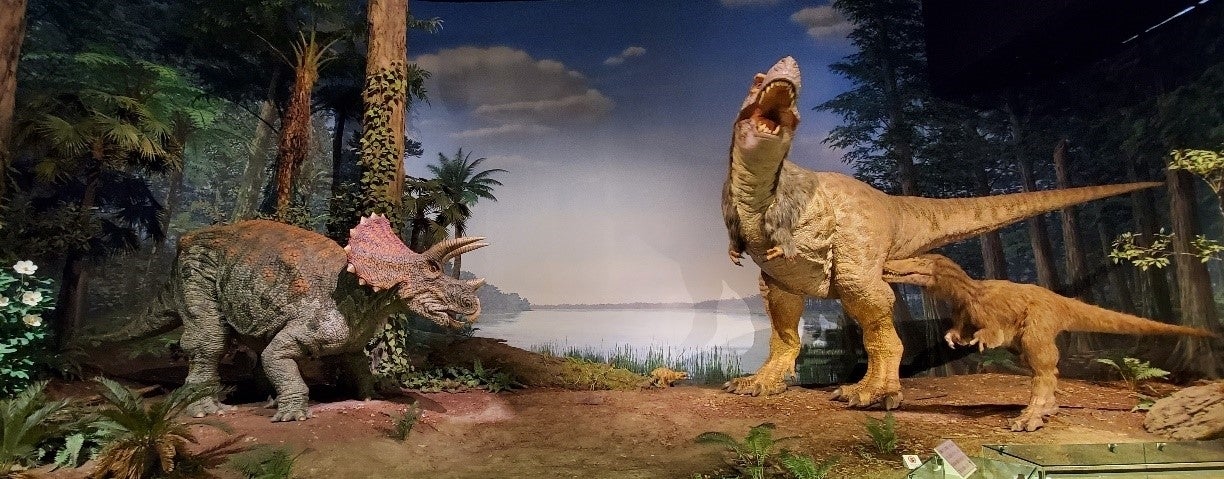 【旧千葉中央バス・JR千葉・京成津田沼発】ミュージアムパーク茨城県自然博物館と空中いちご狩り＜コースNo.25-1128-B＞（京成トラベル）1