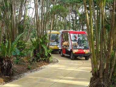 ■【まいぱり入園＆ガイドツアー付】南国ムードあふれる熱帯果樹園！ウェルカムドリンクサービス付☆宮古島ホテルチョイスプラン 4泊5日