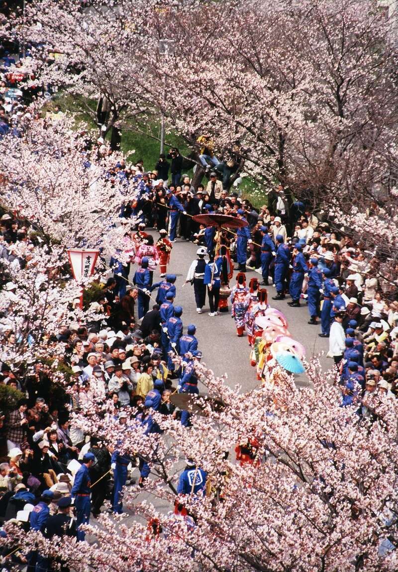 【埼玉県内発】 第81回 新潟おいらん道中・越後大河津分水さくらまつり 高田城・臥竜公園・上田城跡公園の桜めぐり 斑尾温泉 2日間1