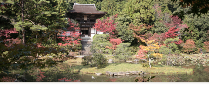 【大阪・阪神エリア発】 こんな旅してみたかった！　紅葉ミステリー　日帰り2