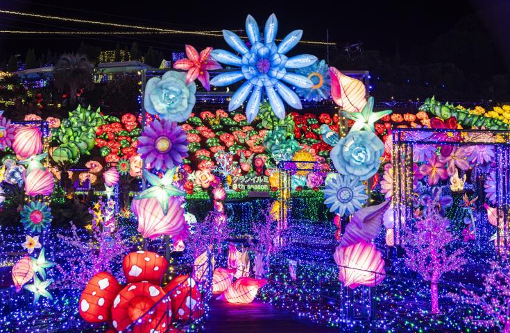 【愛犬同伴プラン】(1/4)海鮮浜焼きバーベキュー＆感動のグランイルミ鑑賞♪神祇大社で愛犬と初詣等、日帰りvipわんツアー！1