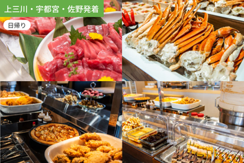 【上三川・宇都宮・佐野発着】豊洲で海の幸と戯れる１日　海鮮バイキング満喫【昼食バイキング付】/ WEB割引5%引き