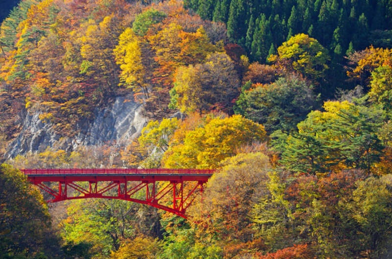 【静岡県内発】 秋色に染まる奥信州絶景ハイライト 北向観音64年ぶりの前立本尊御開帳と別所温泉食べ歩き ２日間1