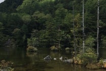 【金山駅南口発】〔遊山〕＊日帰り昼食付＊『大自然の懐　上高地と帝国ホテルランチ』2