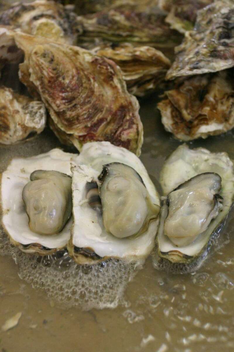【青森県・新幹線駅発】 三陸山田かき小屋で「蒸し焼きかき」食べ放題と民話の里遠野のひなめぐり　日帰り3