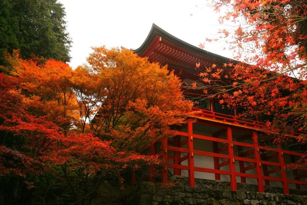 【名古屋駅発】＊日帰り昼食付＊『世界遺産 比叡山延暦寺３つの特別公開「薬師如来・不滅の法灯・十二神将」』3