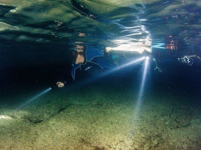 ■◎【フェリーで行く南の島々】プリシアリゾート指定＆夜のお魚観察シュノーケリングツアー付き♪フェリー乗船券付！与論・奄美ステイ4泊5日2