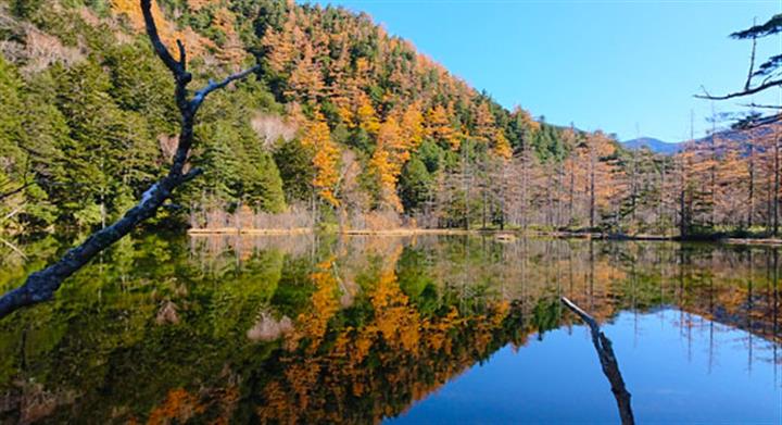 ＜新宿発・西船橋発＞ 紅葉の上高地さんぽ　～秋色に染まる北アルプス～3