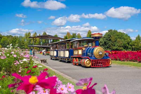 【岡山・倉敷発】 芸備線ローカル列車と国営備北丘陵公園コスモスピクニック　日帰り2