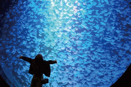 ≪佐賀空港発着≫3泊とも庄内の名旅館にご宿泊！大曲の花火と名旅館の旅4日間　～往復山形新幹線利用！（JR東京駅⇔JR山形駅間）～1