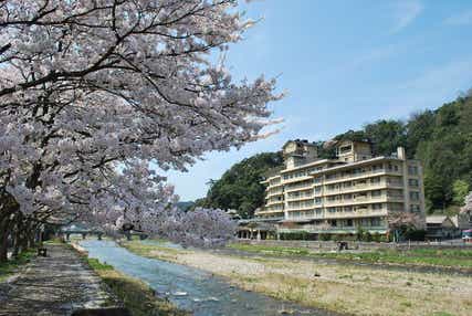 【広島・古市発】 三朝温泉「依山楼岩崎」に泊まる！桜が彩る若桜鉄道と鳥取３つの桜めぐり ２日間