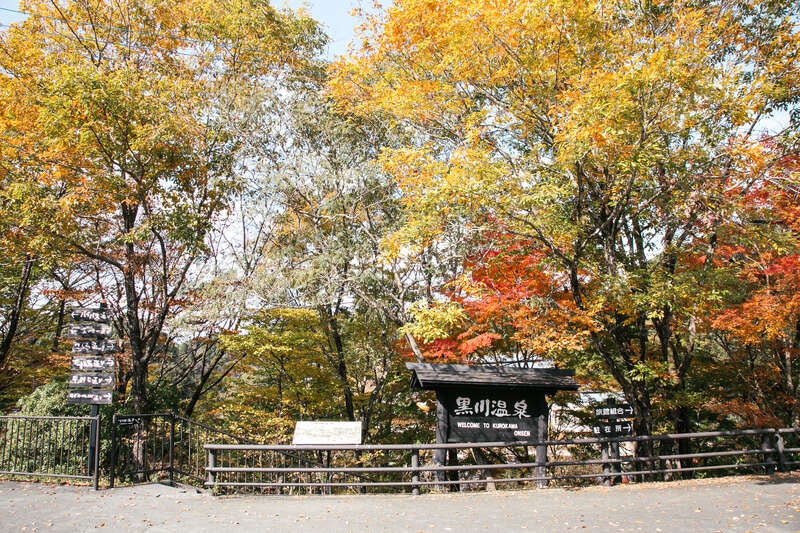 【新大阪・新神戸・岡山・広島駅発】 おひとり様歓迎！秋彩の阿蘇・高千穂・黒川温泉・湯布院と九州高原ルート3日間3