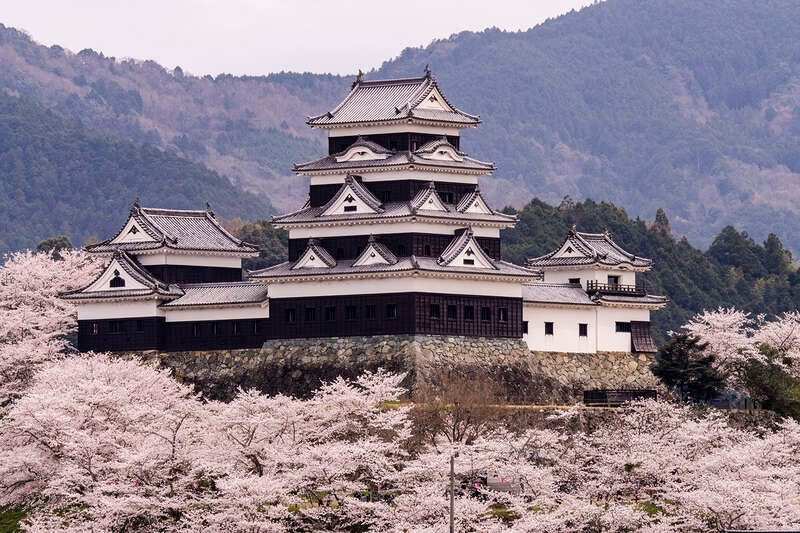 【新大阪・新神戸・西明石・姫路・岡山駅発】 桜の尾道千光寺公園・松山城山公園・大洲城としまなみ海道、今治国際ホテルで過ごす春の休日２日間2