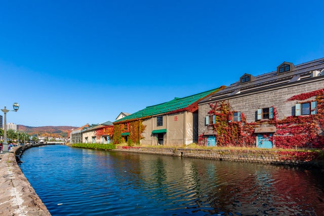 【鹿児島空港発】 ひとりでもこんな旅に出たかった！北海道冬の感動体験とグルメ大集合3日間2