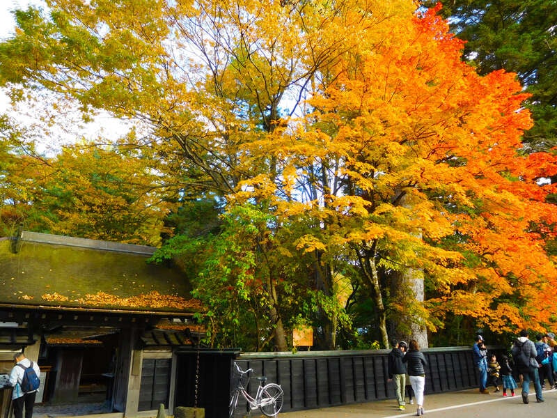 【秋田エリア発】 10号玉100連発！大曲の花火～秋の章「花火芸術祭」～ 日帰り2