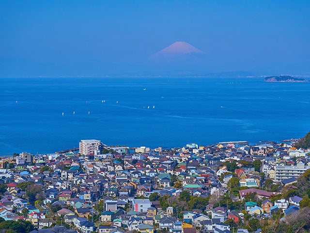 【名古屋発】■２０２６年５月３１日（日）■（個室）［初級］湘南アルプスと三浦アルプス　１泊２日　♪名鉄の泊りトレッキング1