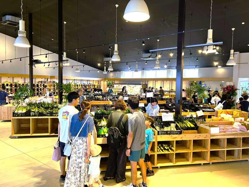 【東京都内発※町田を除く】 県下最大級のハウスでラストシーズンいちご狩り食べ放題＆１箱（約１㎏）詰め放題 ツアー初登場！fumotto南アルプスと山梨県立美術館・芸術の森公園のバラ3